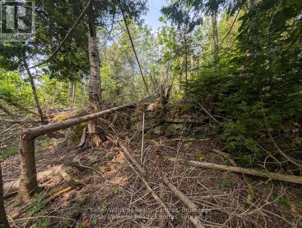 Pcl 2-3 Pt Lt 2 Walter Charman Drive, Northern Bruce Peninsula, Ontario  N0H 1W0 - Photo 16 - X12891744