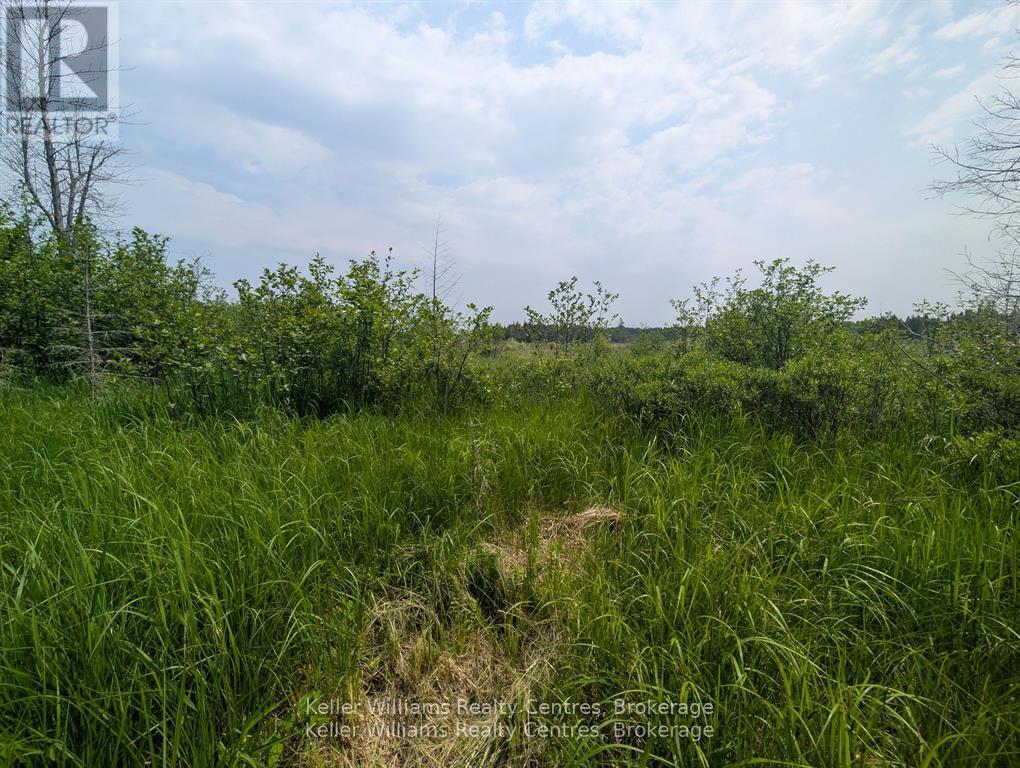 Pcl 2-3 Pt Lt 2 Walter Charman Drive, Northern Bruce Peninsula, Ontario  N0H 1W0 - Photo 22 - X12891744