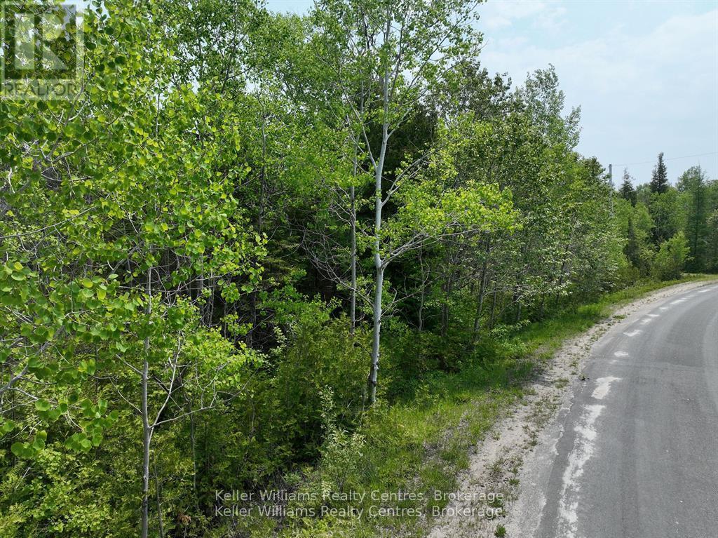 Pcl 2-3 Pt Lt 2 Walter Charman Drive, Northern Bruce Peninsula, Ontario  N0H 1W0 - Photo 6 - X12891744