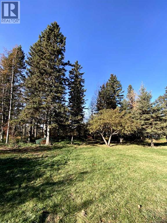 4, 4354 Highway 27, Rural Mountain View County, Alberta  T0M 1X0 - Photo 32 - A2265490