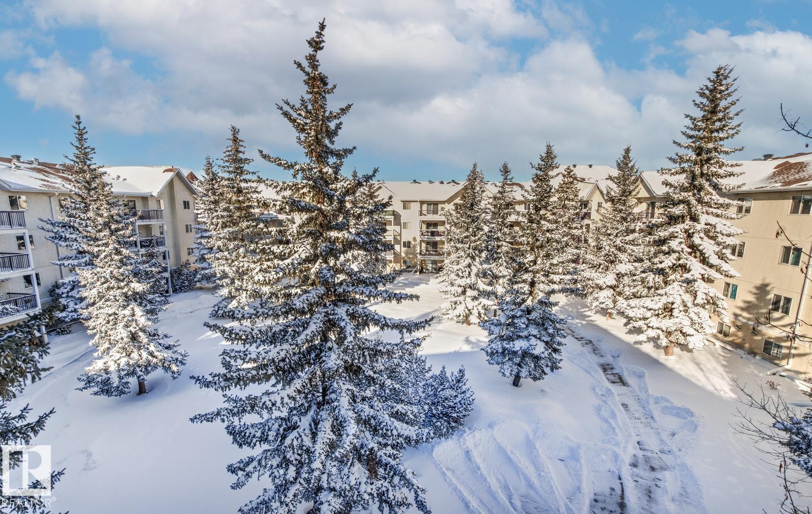 #446 10636 120 St Nw, Edmonton, Alberta  T5H 4L5 - Photo 47 - E4474346