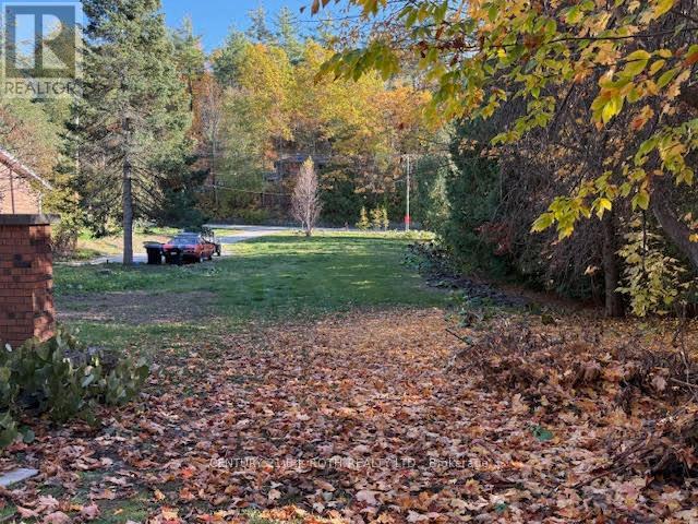 86 Doran Road, Springwater (Midhurst), Ontario  L0L 1X0 - Photo 17 - S12811710