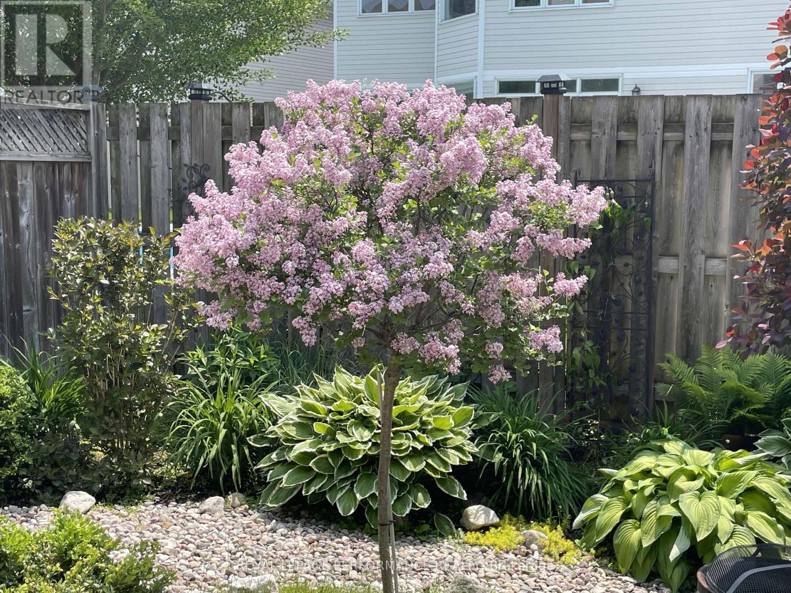 229 Saddlesmith Circle, Ottawa, Ontario  K2M 2Z1 - Photo 39 - X12886504