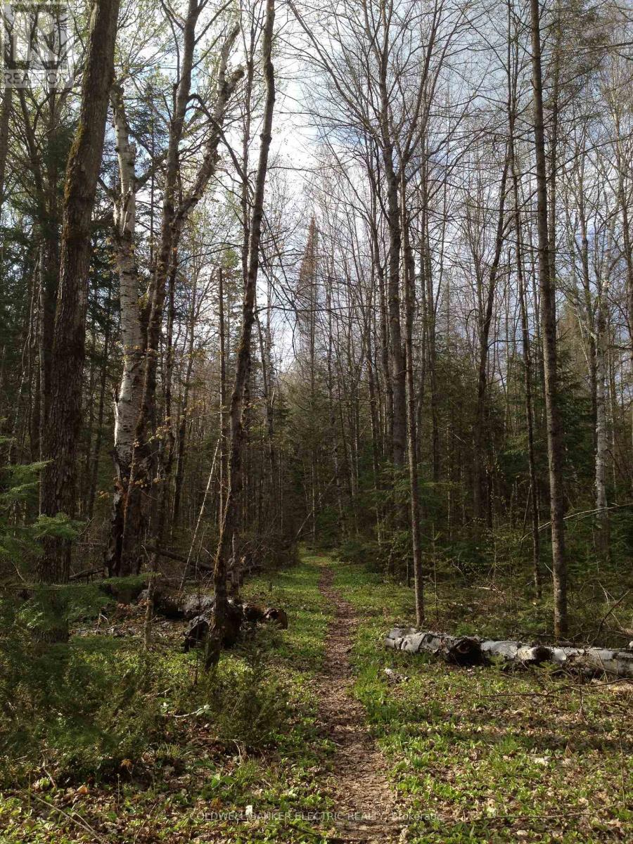 197 Hillside Drive, Kawartha Lakes (Somerville), Ontario  K0M 1C0 - Photo 49 - X12891944