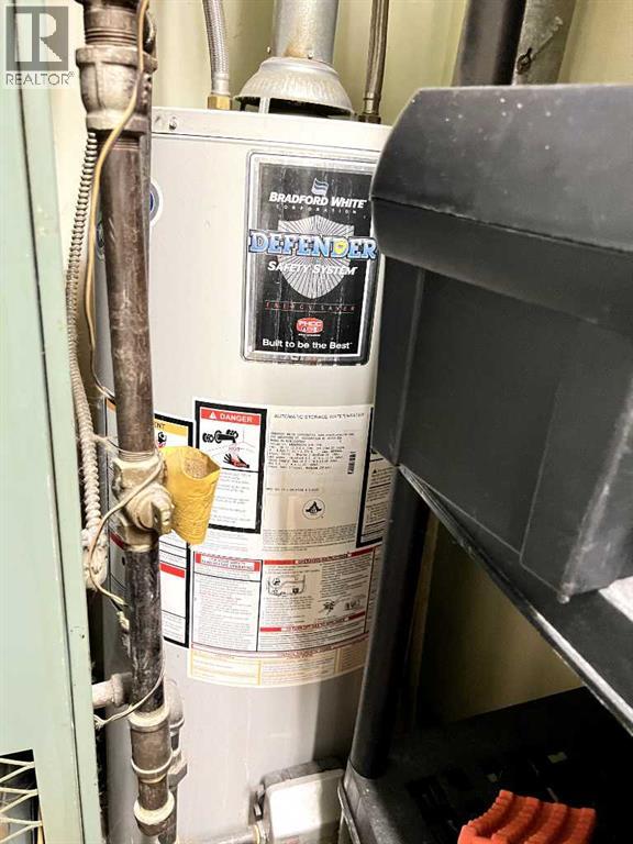 5044 50 Street, Sylvan Lake, Alberta  T4S 1P3 - Photo 8 - A2280390