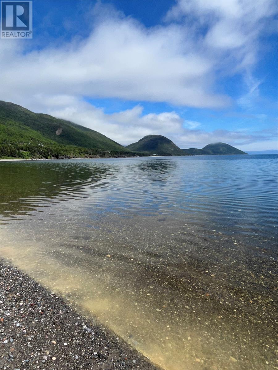 19 Beach Road, York Harbour, Newfoundland & Labrador  A0L 1L0 - Photo 3 - 1295286