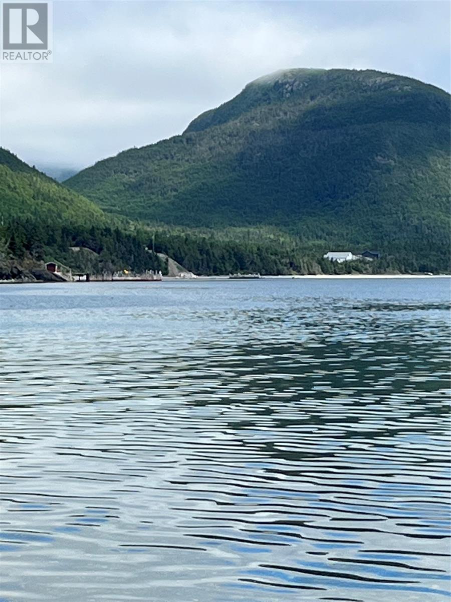 19 Beach Road, York Harbour, Newfoundland & Labrador  A0L 1L0 - Photo 4 - 1295286