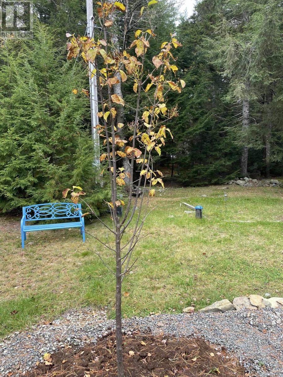 123 Deer Point Road, Labelle, Nova Scotia  B0T 1E0 - Photo 16 - 202602404