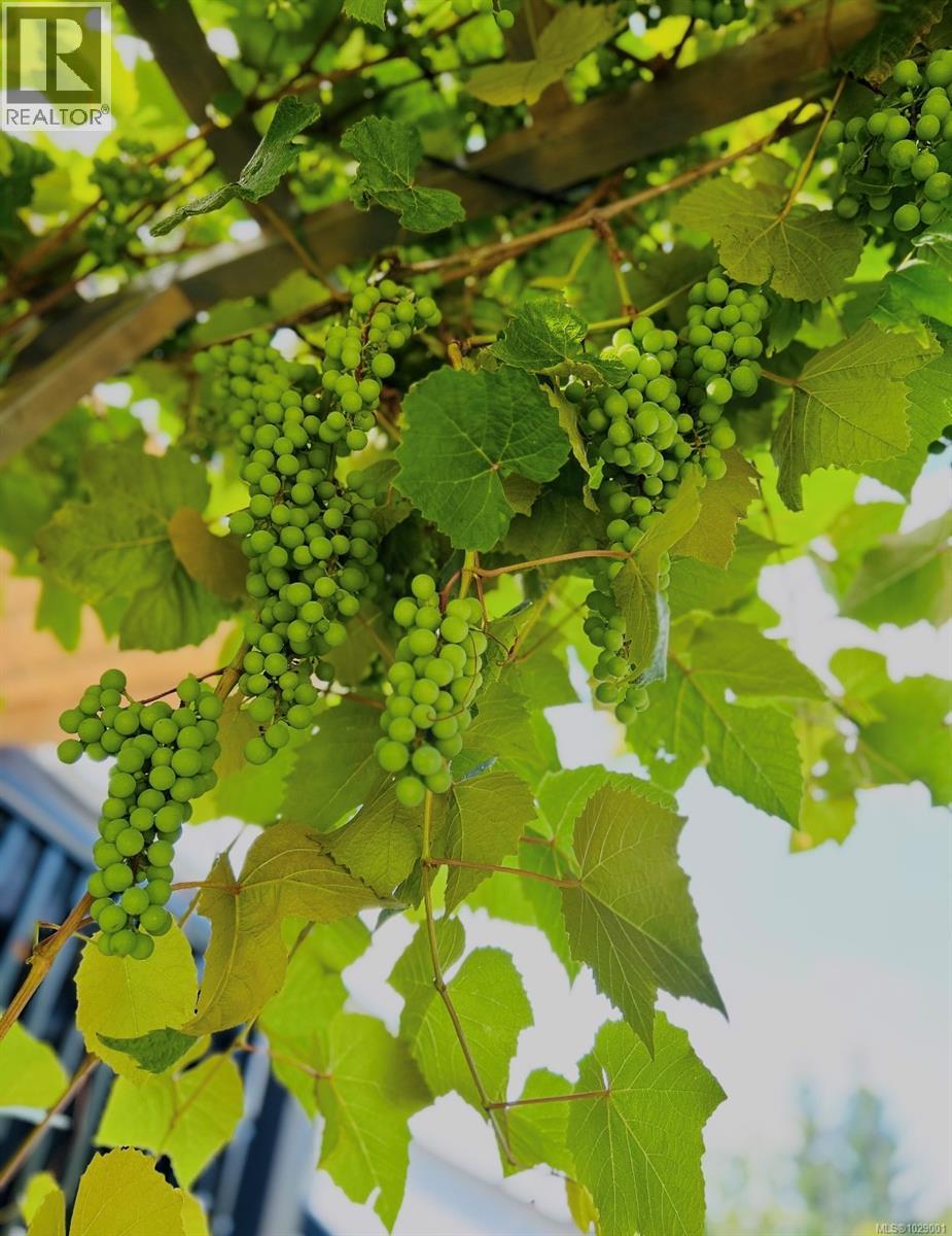 2121 Lexington Pl, Courtenay, British Columbia  V9N 9C5 - Photo 66 - 1029001