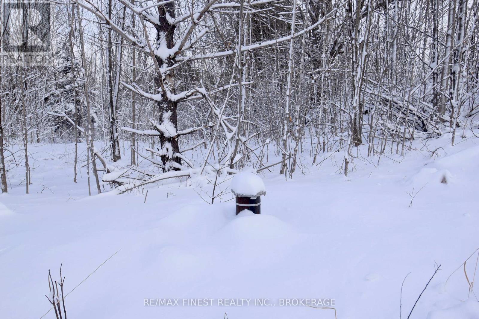 Lot 27 Bradshaw Road, Frontenac (Frontenac South), Ontario  K0H 2V0 - Photo 4 - X12892064