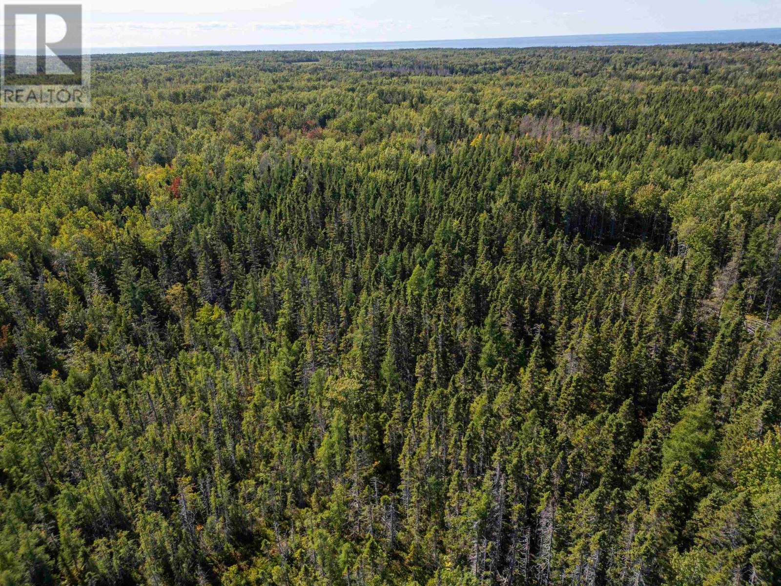 Lot Farley Road, St. Lawrence, Prince Edward Island  C0B 1E0 - Photo 5 - 202604627