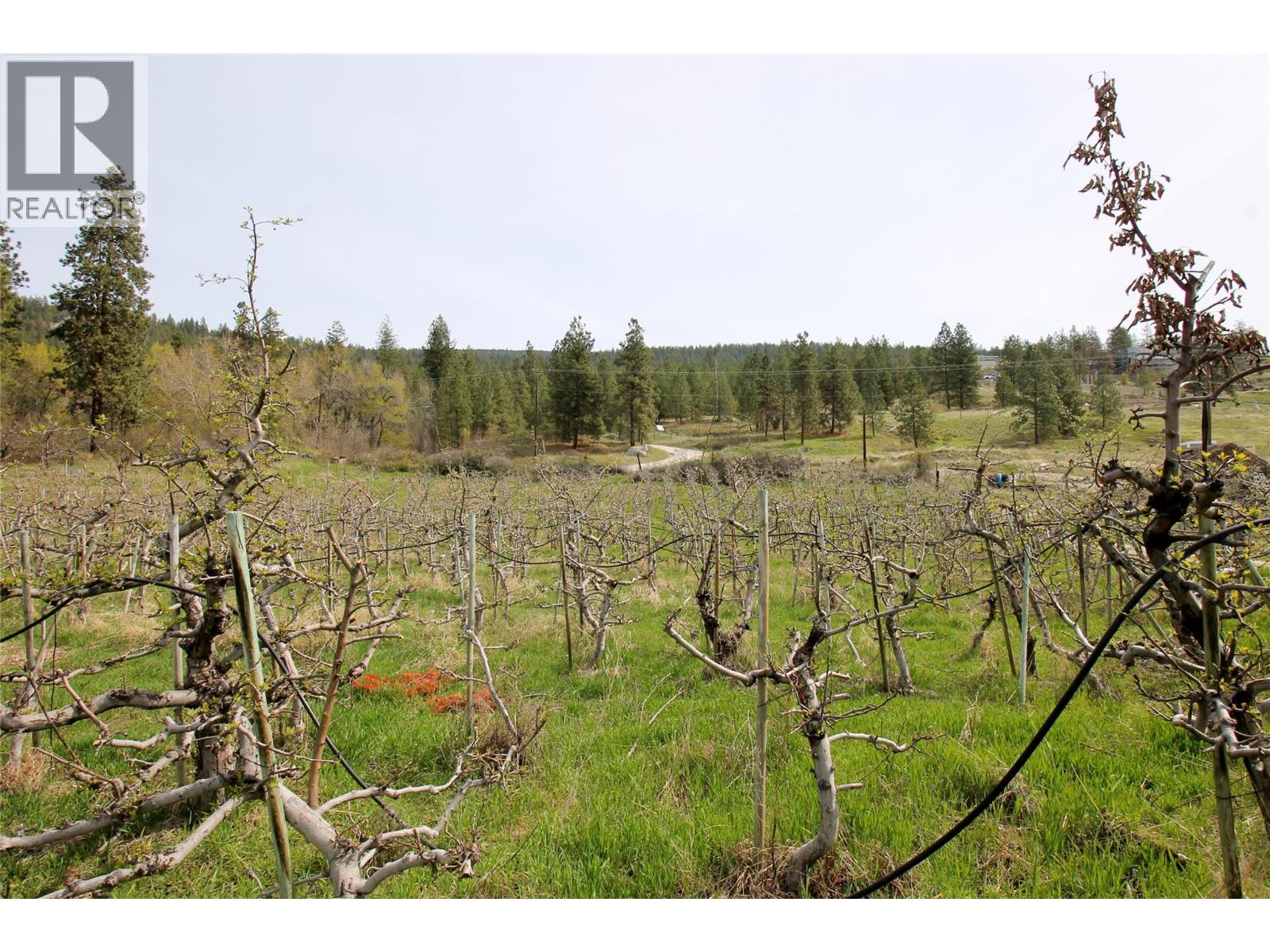 4789 Naramata Road, Naramata, British Columbia  V0H 1N1 - Photo 13 - 10378957