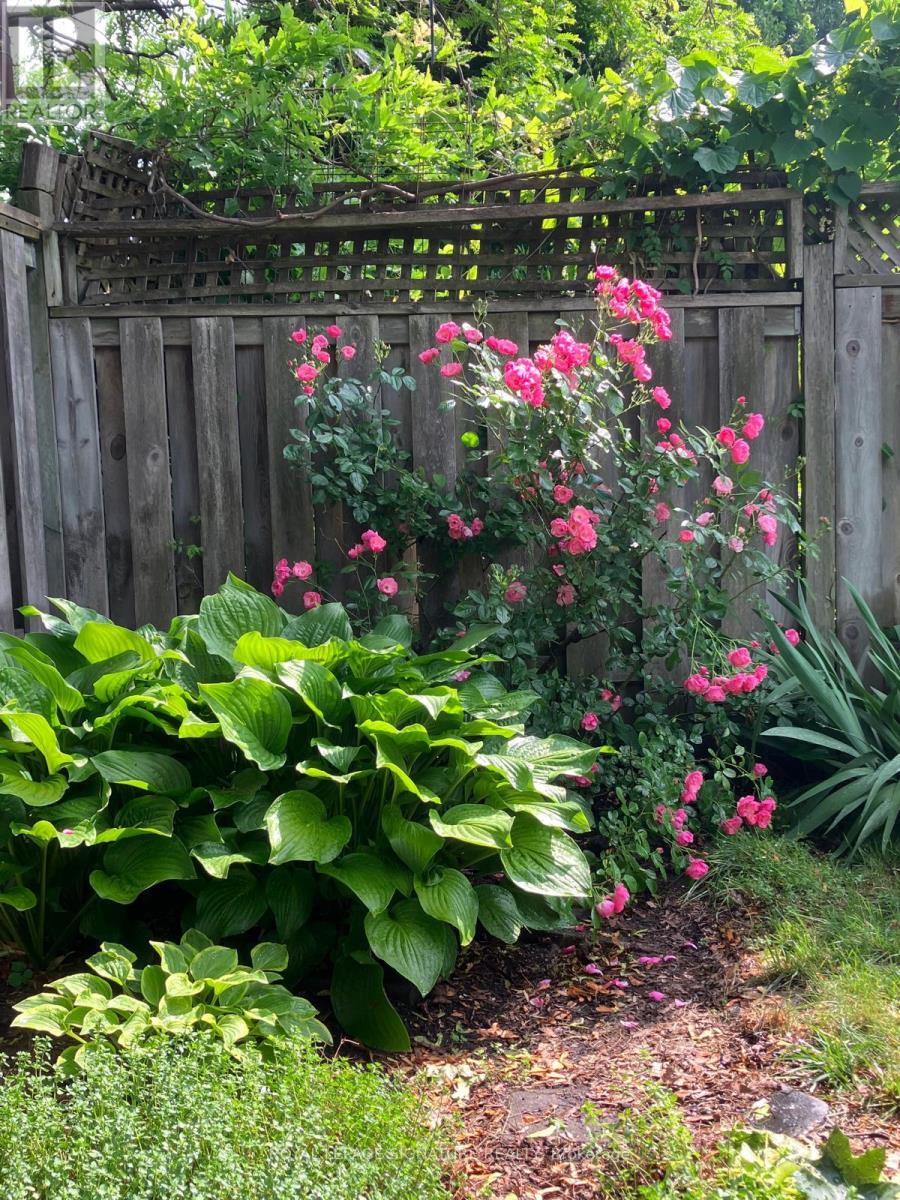 4 Earl Haig Avenue, Toronto, Ontario  M4C 1E1 - Photo 41 - E12892282