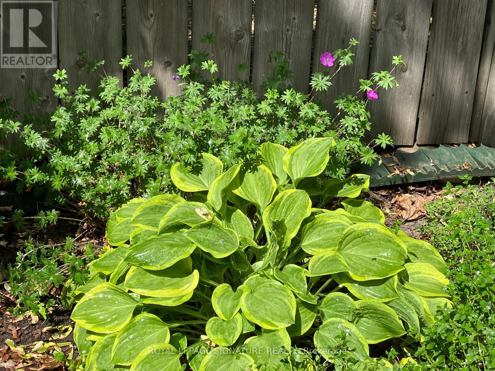 4 Earl Haig Avenue, Toronto, Ontario  M4C 1E1 - Photo 42 - E12892282