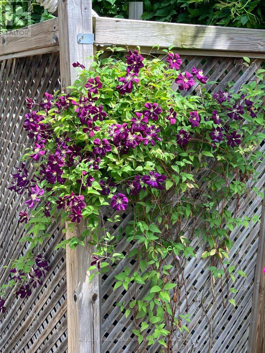 4 Earl Haig Avenue, Toronto, Ontario  M4C 1E1 - Photo 43 - E12892282