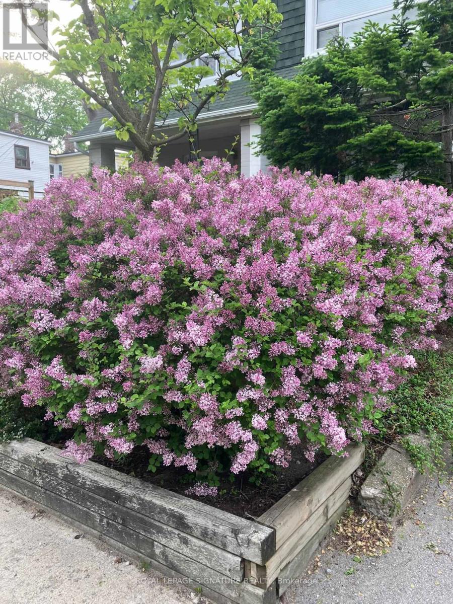 4 Earl Haig Avenue, Toronto, Ontario  M4C 1E1 - Photo 45 - E12892282