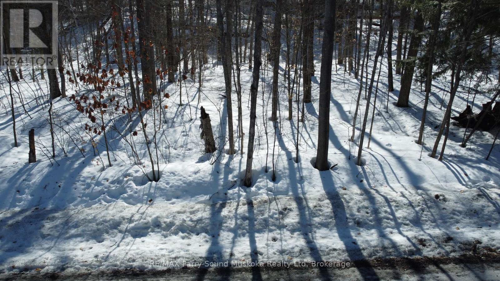 42 Ridgeway Drive, Carling, Ontario  P0G 1G0 - Photo 5 - X12892232