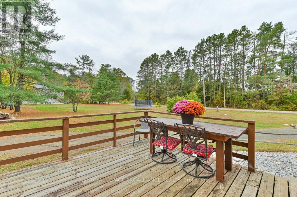1217 Preston Road, Havelock-Belmont-Methuen (Belmont-Methuen), Ontario  K0L 1Z0 - Photo 30 - X12892370