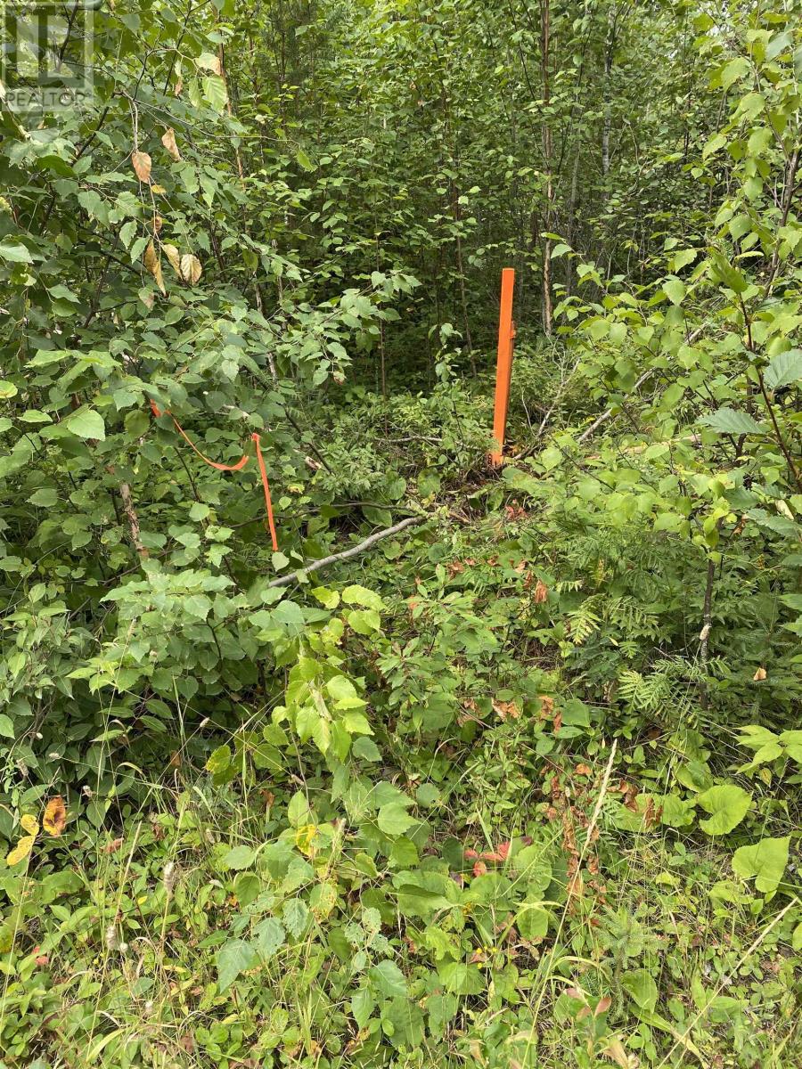 Lot 14 Jarnel Drive, Kenora, Ontario  P9N 0A9 - Photo 29 - TB252435