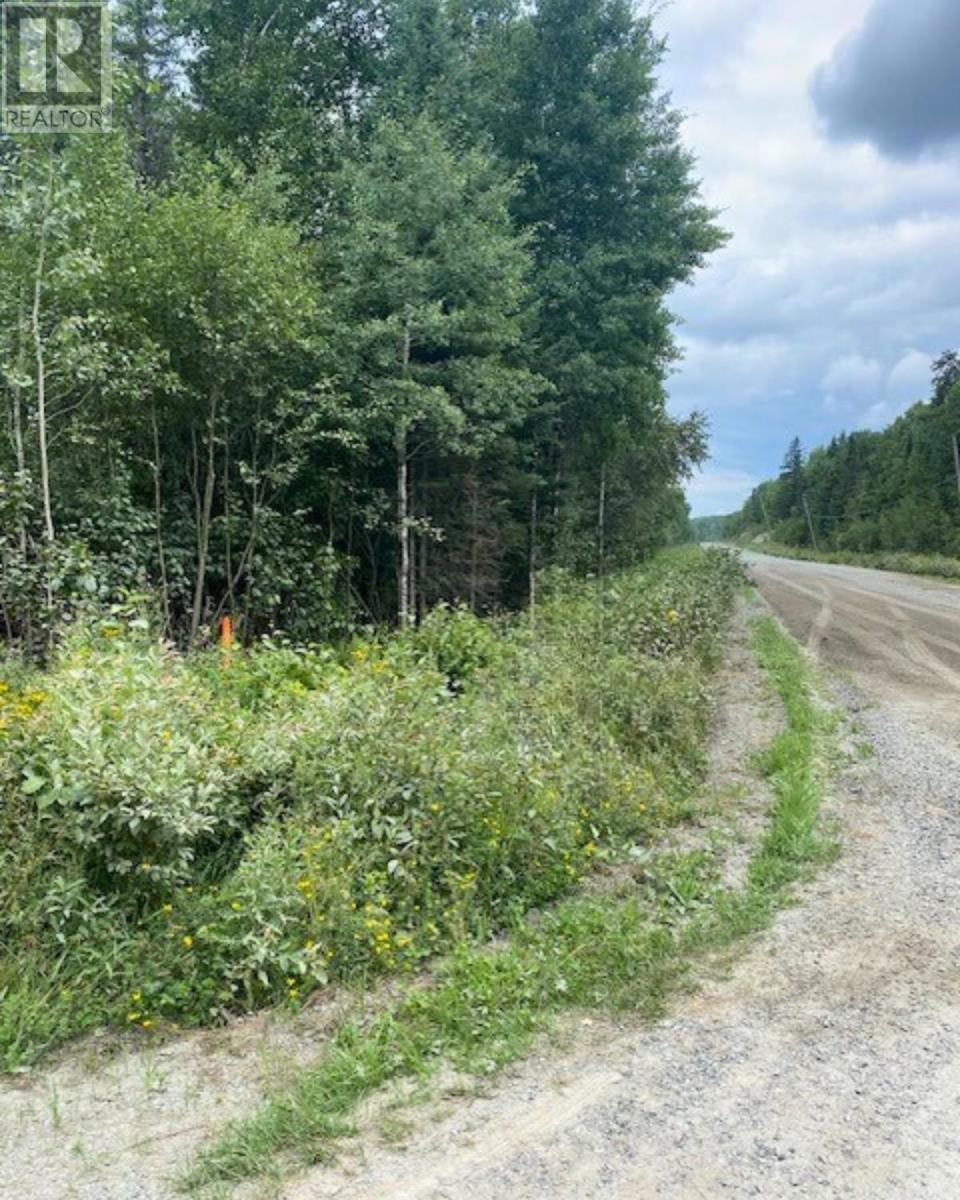 Lot 14 Jarnel Drive, Kenora, Ontario  P9N 0A9 - Photo 5 - TB252435