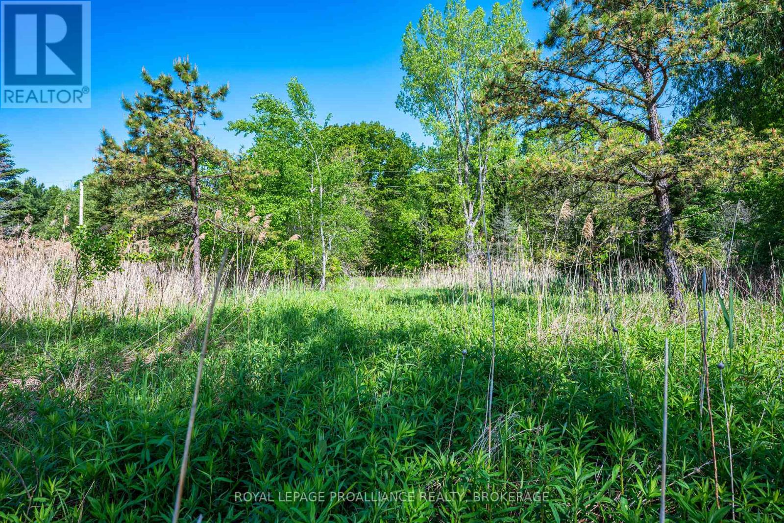 1168 Thousand Island Parkway, Front Of Yonge, Ontario  K0E 1R0 - Photo 19 - X12891186