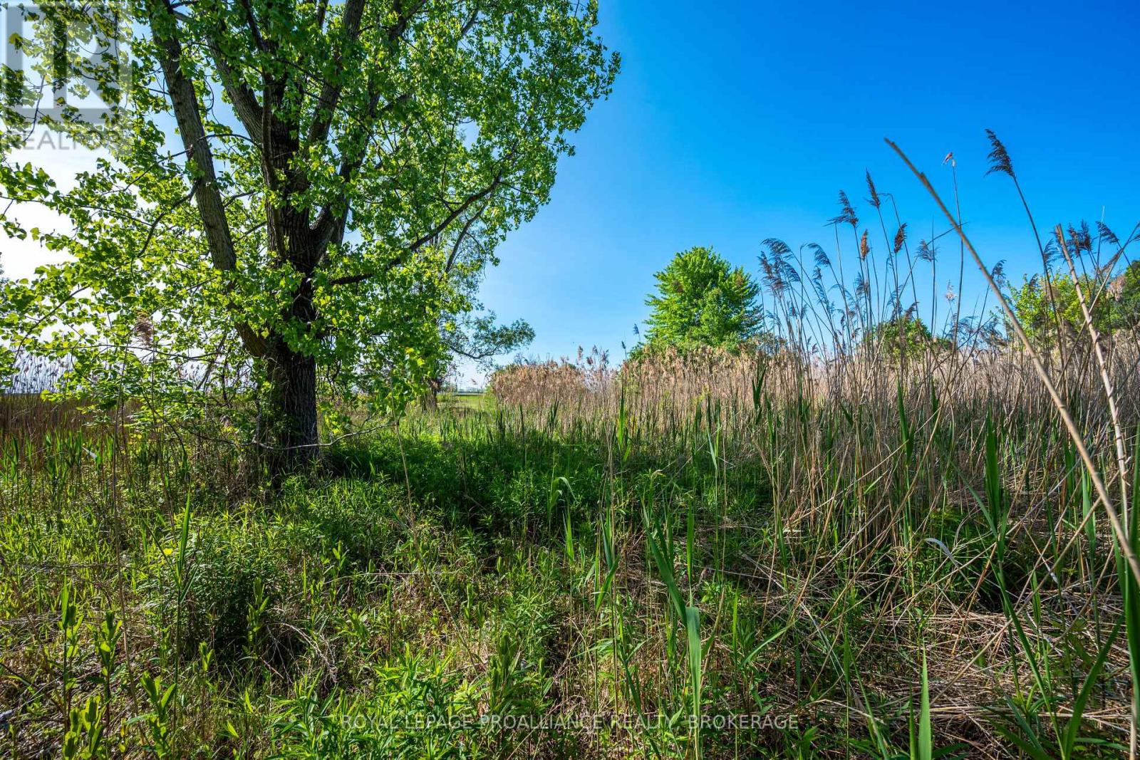 1168 Thousand Island Parkway, Front Of Yonge, Ontario  K0E 1R0 - Photo 18 - X12891186