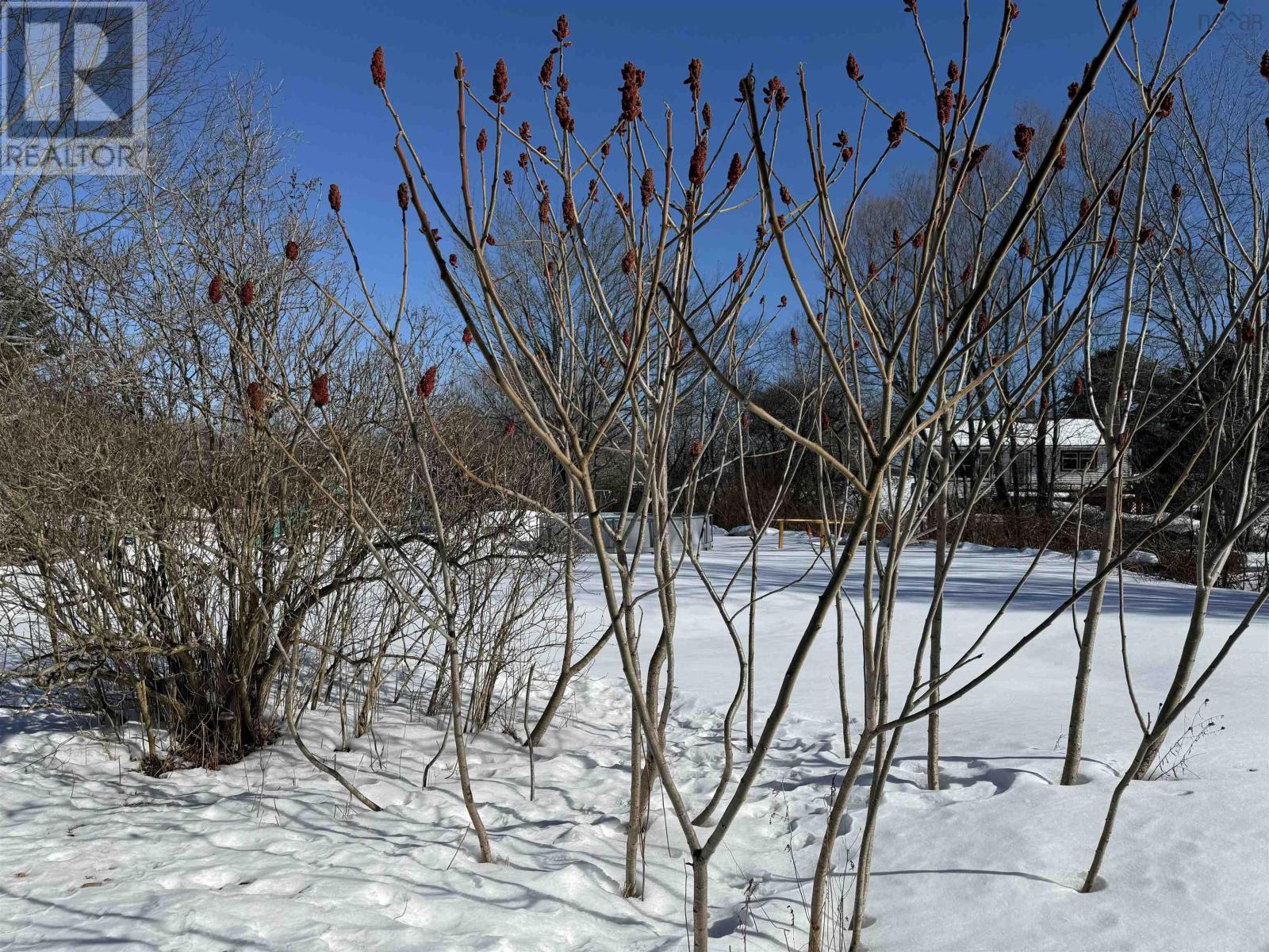 6515 Highway 3, Western Shore, Nova Scotia  B0J 3M0 - Photo 38 - 202603198