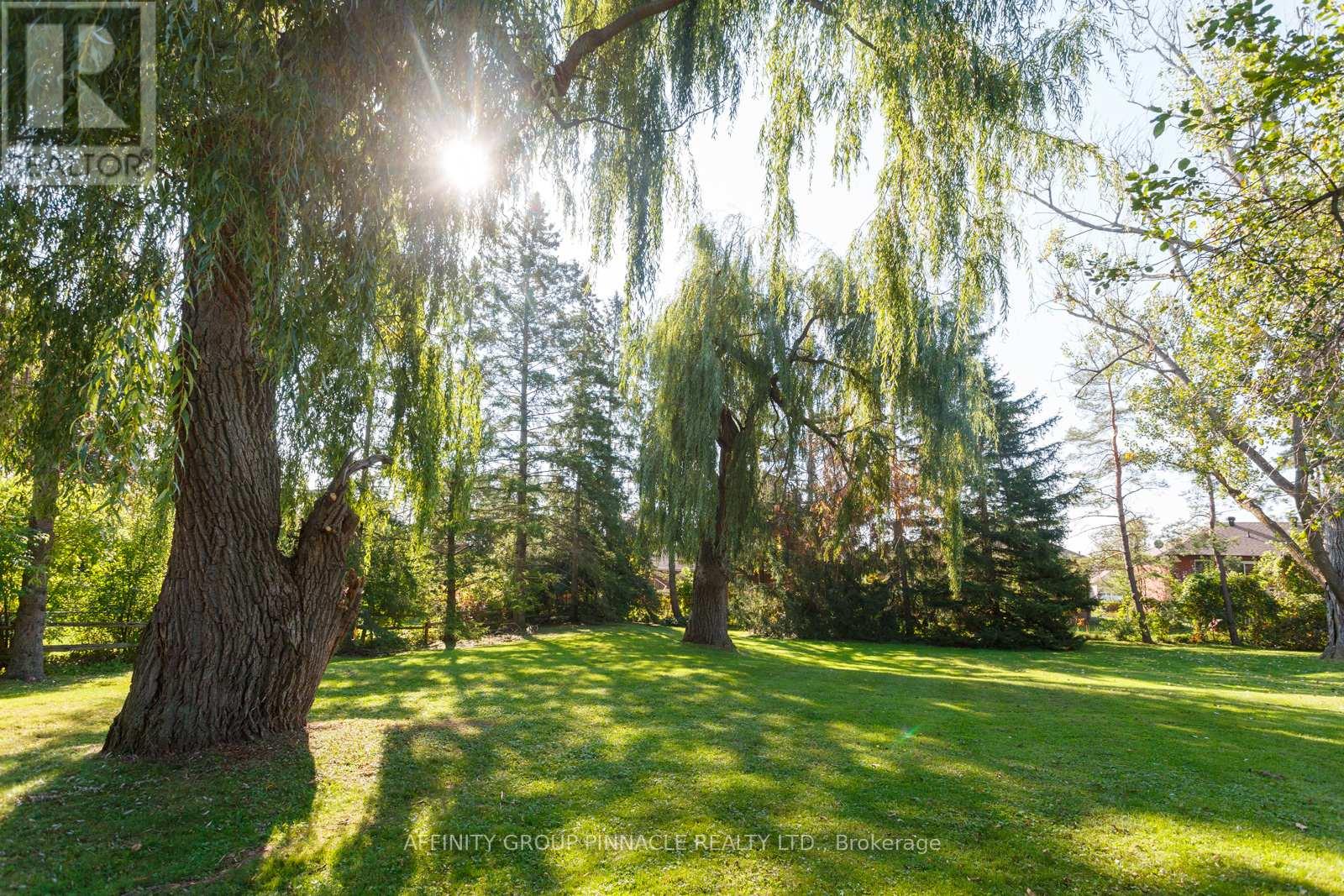 21 David Drive, Kawartha Lakes, Ontario  K9V 5G7 - Photo 11 - X12892602