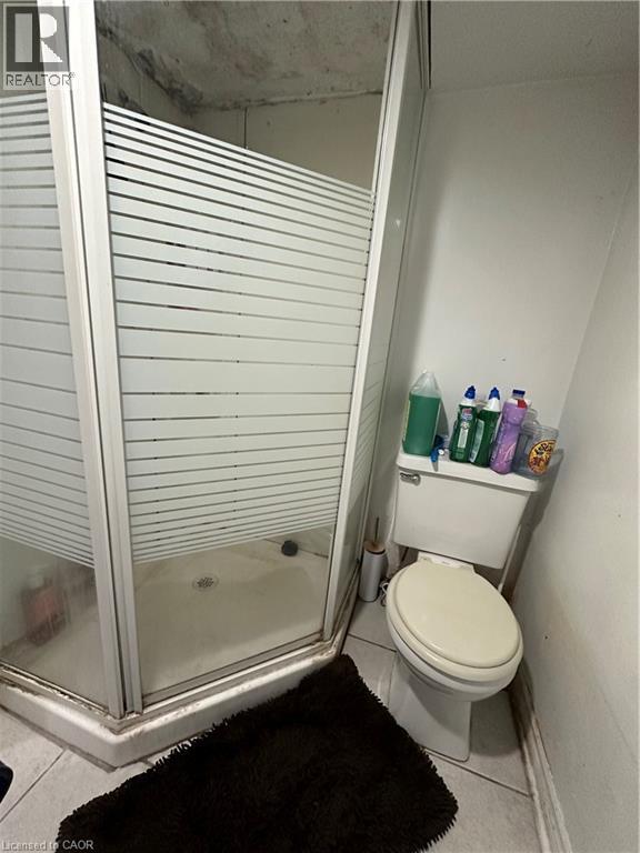 57 Emerson Street, Hamilton, Ontario  L8S 2X5 - Photo 16 - 40812968