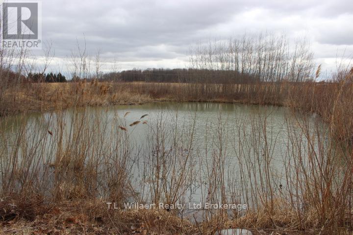 25130 Argyle Line, West Elgin, Ontario  N0L 2P0 - Photo 4 - X12892630