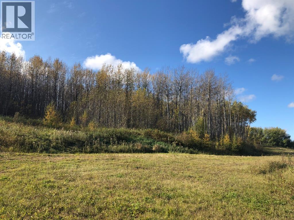 111, 16326 Twp Rd 675, Plamondon, Alberta  T0A 2T0 - Photo 3 - A2203769