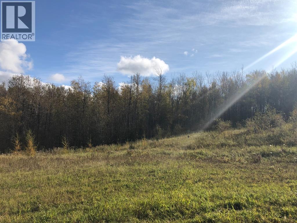 111, 16326 Twp Rd 675, Plamondon, Alberta  T0A 2T0 - Photo 7 - A2203769