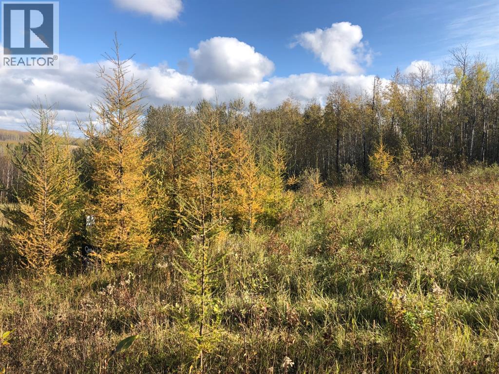 115, 16326 Twp Rd 675, Plamondon, Alberta  T0A 2T0 - Photo 6 - A2219230