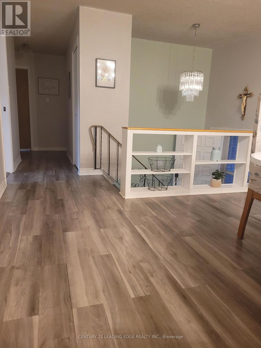 19 Forest Hill Road, Bancroft, Ontario  K0L 1C0 - Photo 13 - X12892546