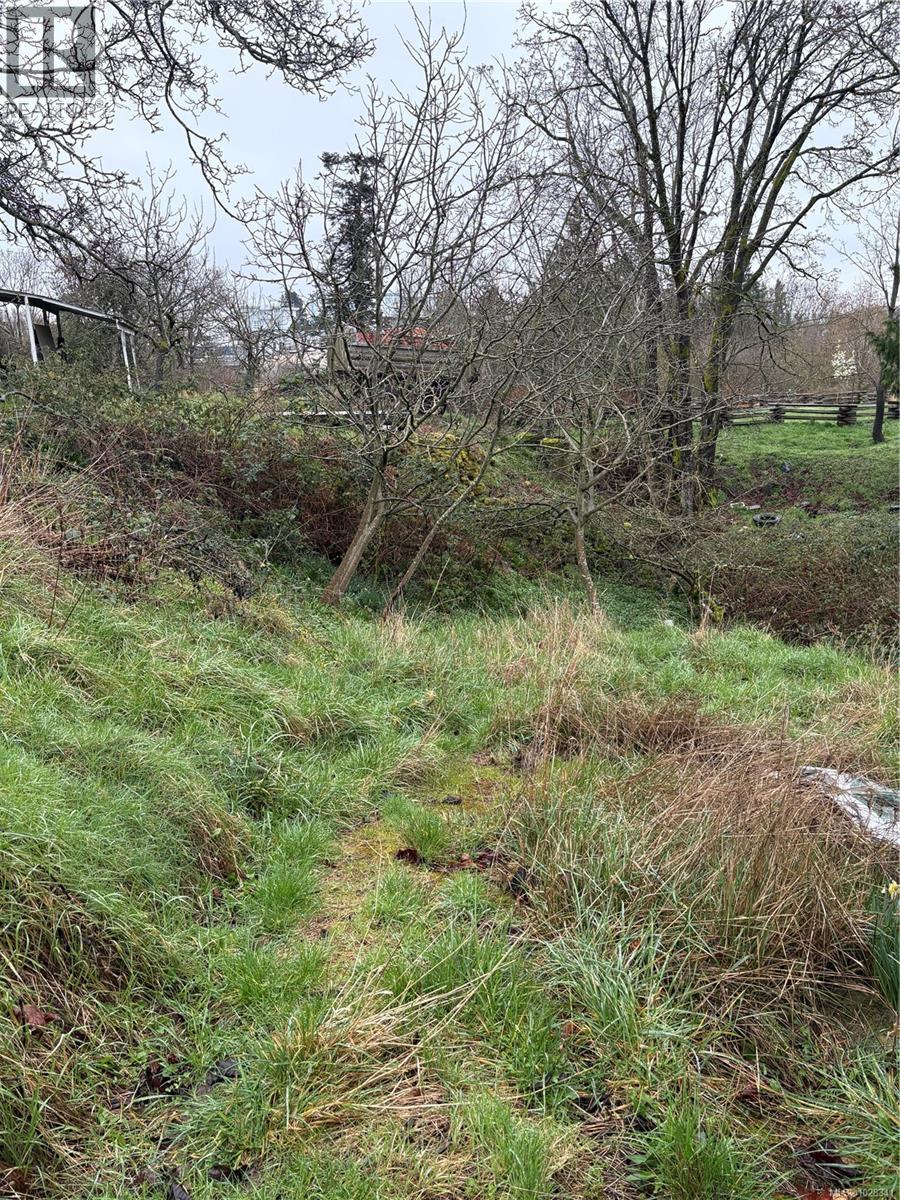 3135 Washington Ave, Victoria, British Columbia  V9A 1P8 - Photo 4 - 1028341