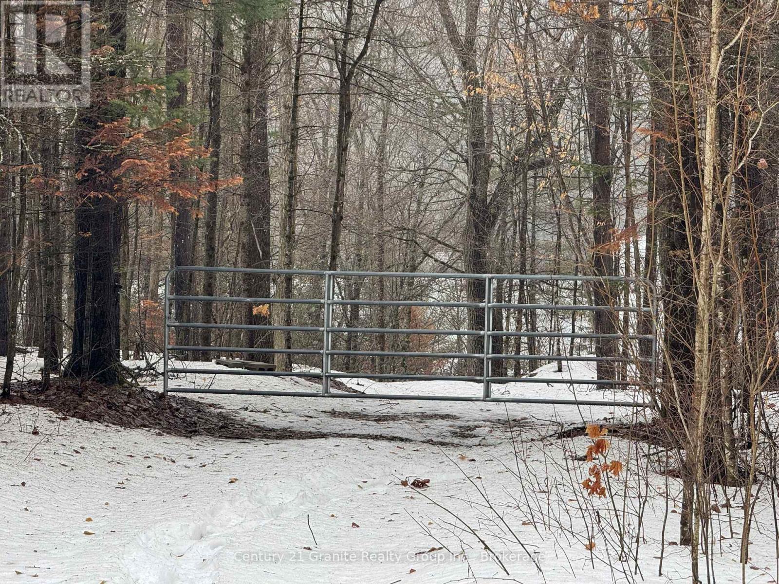 1037 Rotunda Drive, Highlands East (Glamorgan), Ontario  K0M 1R0 - Photo 11 - X12892838