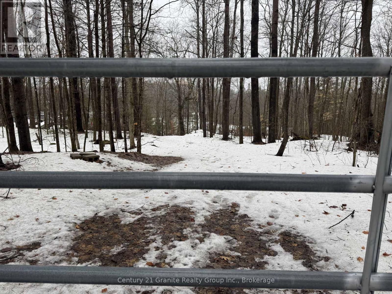 1037 Rotunda Drive, Highlands East (Glamorgan), Ontario  K0M 1R0 - Photo 12 - X12892838