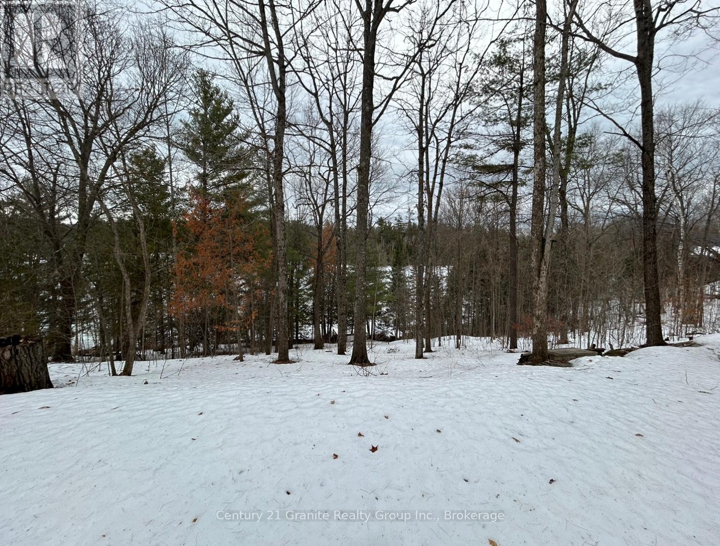 1037 Rotunda Drive, Highlands East (Glamorgan), Ontario  K0M 1R0 - Photo 17 - X12892838