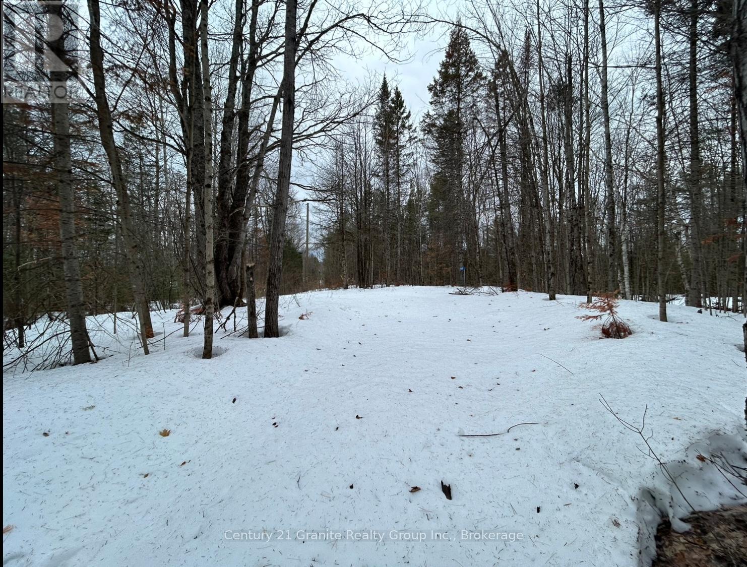 1037 Rotunda Drive, Highlands East (Glamorgan), Ontario  K0M 1R0 - Photo 21 - X12892838