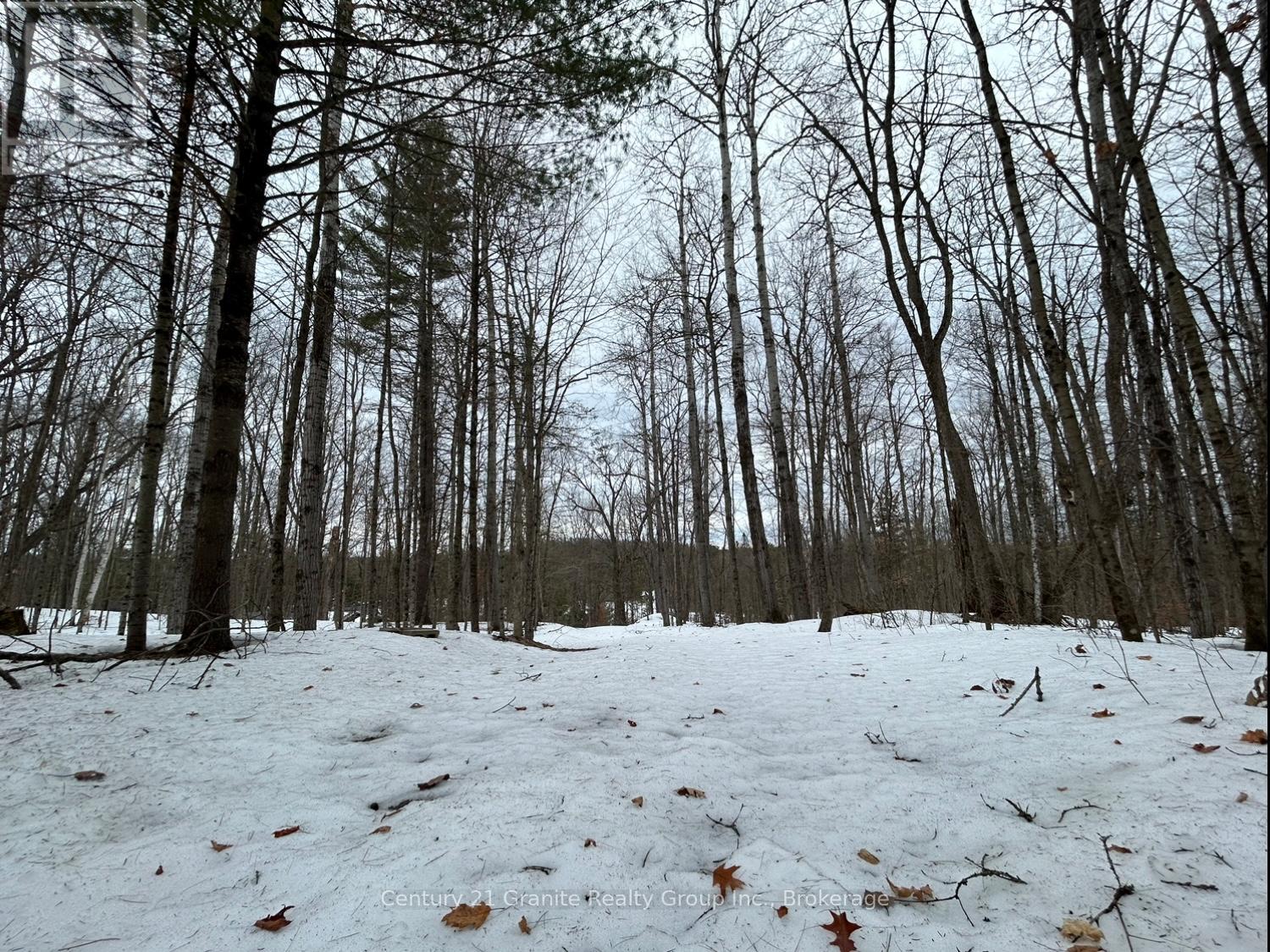 1037 Rotunda Drive, Highlands East (Glamorgan), Ontario  K0M 1R0 - Photo 22 - X12892838