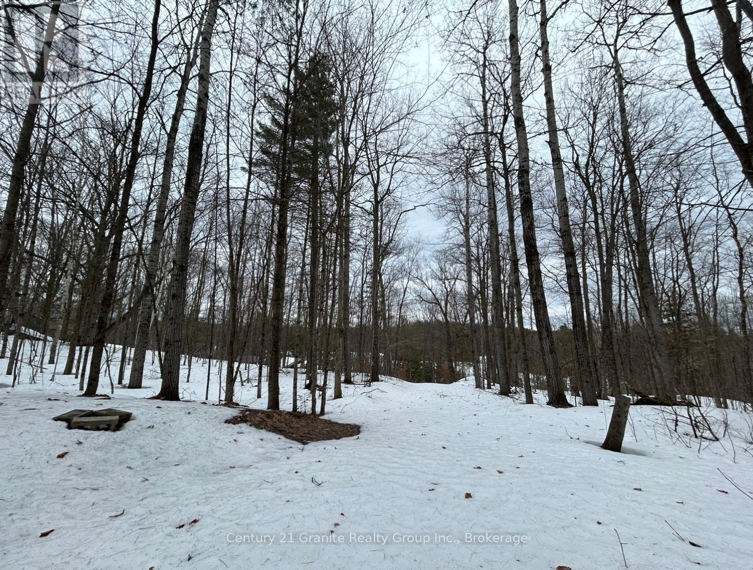 1037 Rotunda Drive, Highlands East (Glamorgan), Ontario  K0M 1R0 - Photo 23 - X12892838