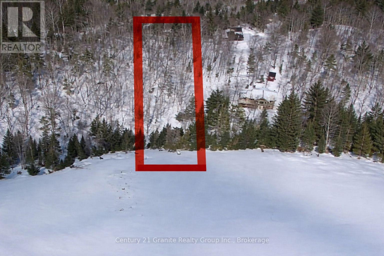 1037 Rotunda Drive, Highlands East (Glamorgan), Ontario  K0M 1R0 - Photo 3 - X12892838