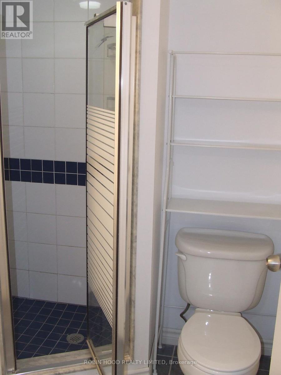 Basement - 377 East Avenue E, Toronto, Ontario  M1C 2W5 - Photo 14 - E12892780