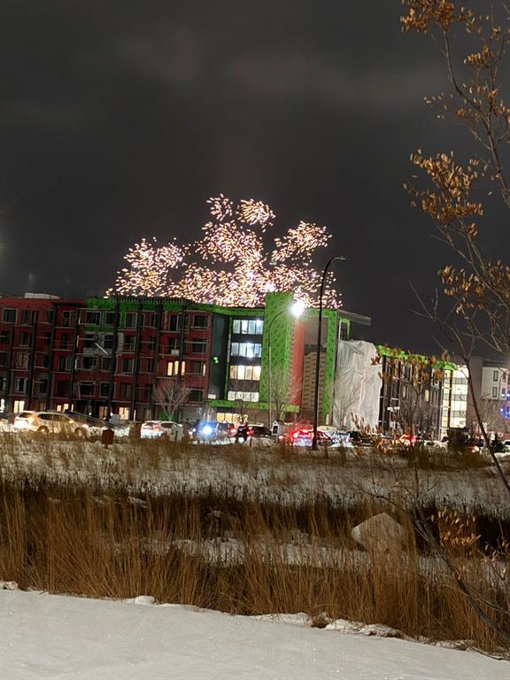 103 Grey Heron Drive, Winnipeg, Manitoba  R3X 0R5 - Photo 38 - 202603607