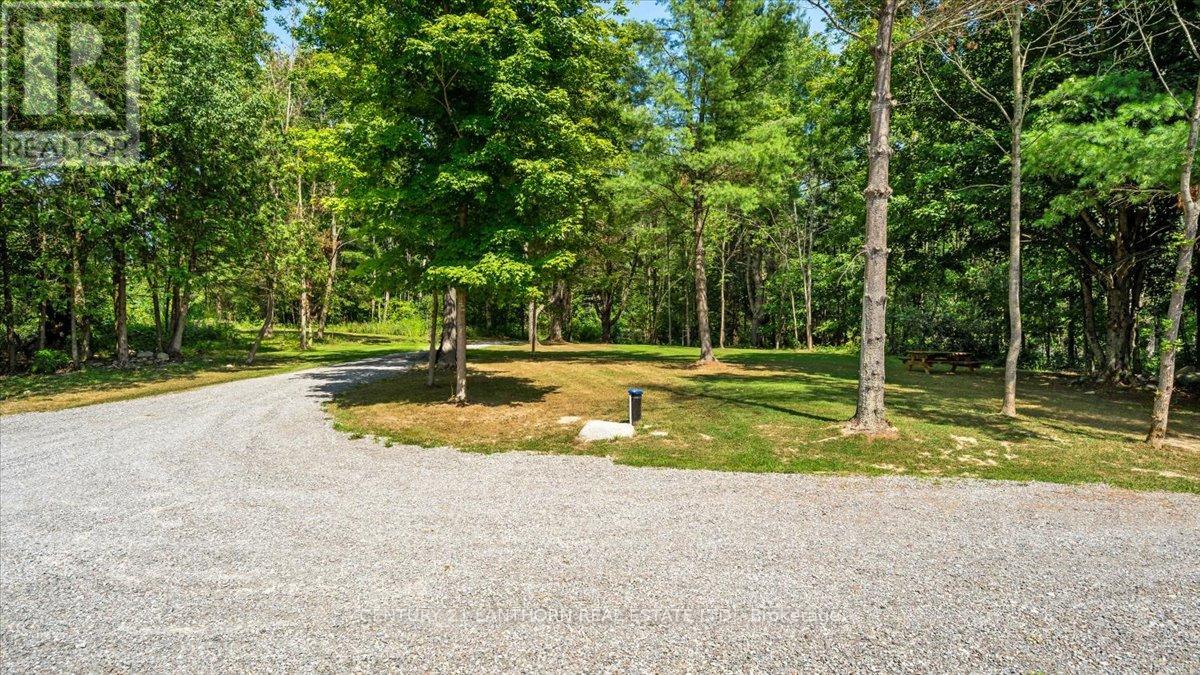 101 Thompson Road, Centre Hastings, Ontario  K0K 2K0 - Photo 34 - X12892918