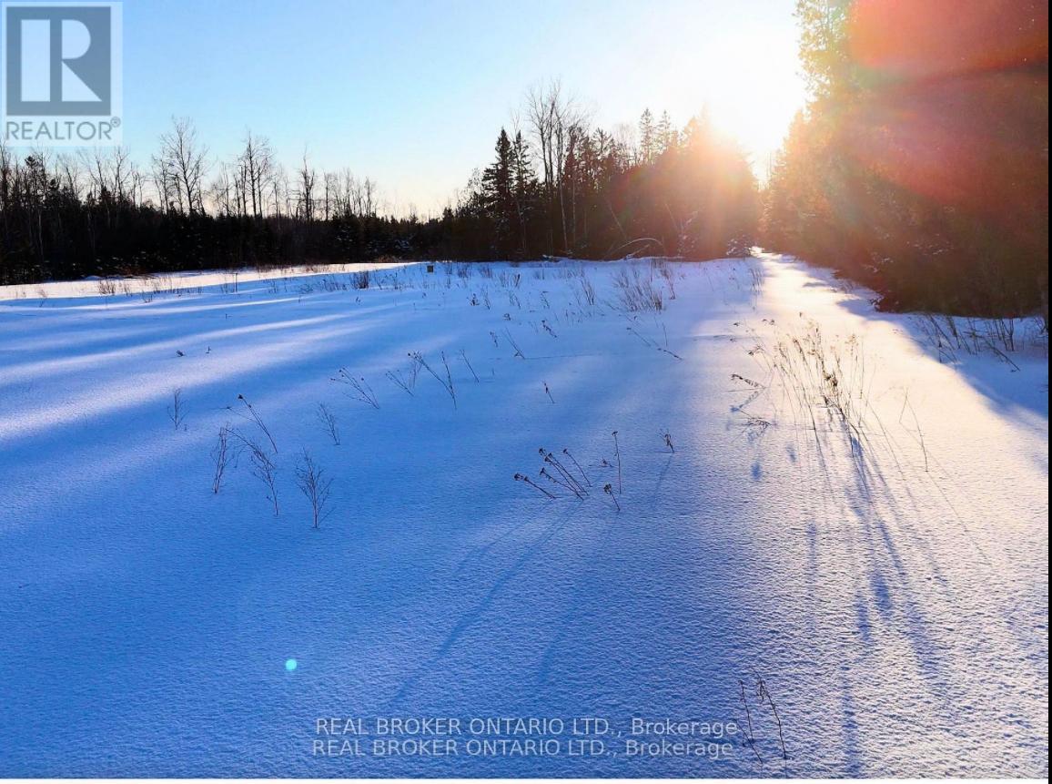 N/a 2 Line N, Oro-Medonte, Ontario  L0L 2N0 - Photo 10 - S12893028