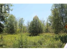 0 METRO ROAD, Georgina, Ontario