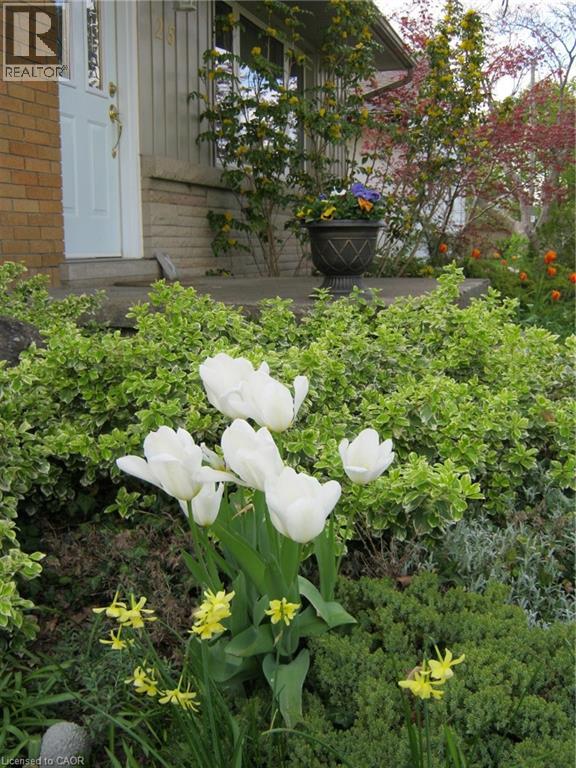 25 Dietz Avenue S, Waterloo, Ontario  N2L 2J7 - Photo 24 - 40812914