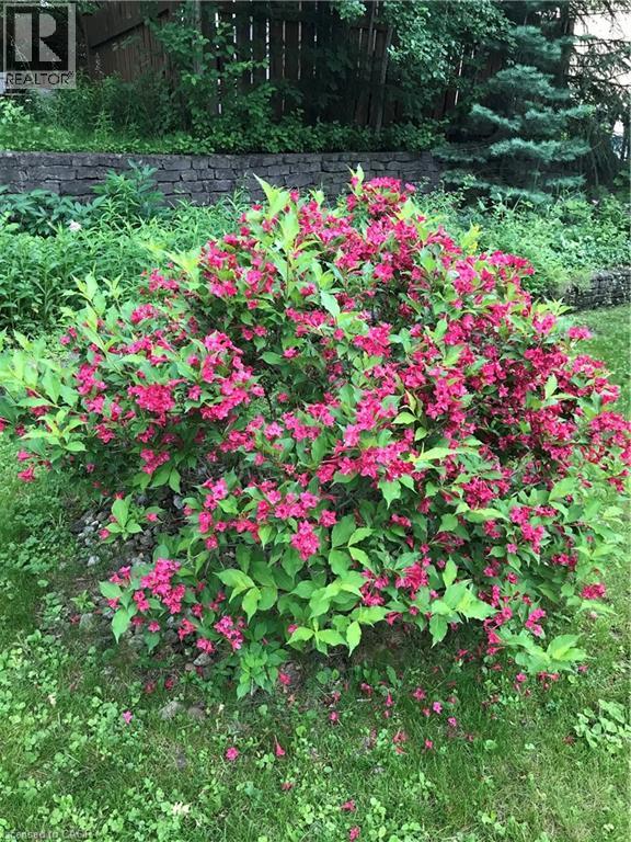 25 Dietz Avenue S, Waterloo, Ontario  N2L 2J7 - Photo 25 - 40812914