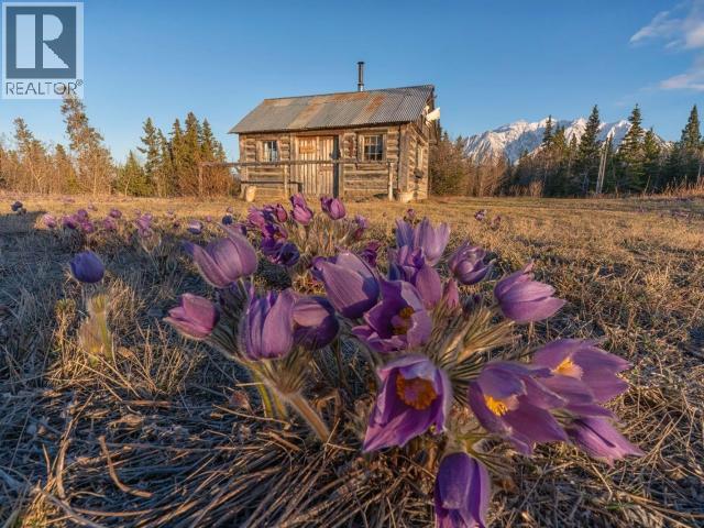 2 Alsek Valley Road, Haines Junction, Yukon Y0B 1L0 - Photo 23 - 17113